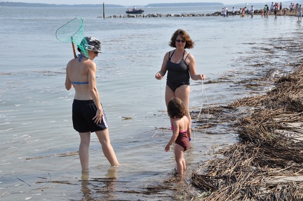 16 Teaching Sophia to Fish